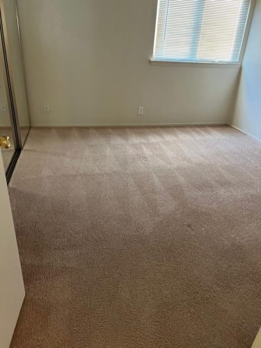carpet-cleaning-03
